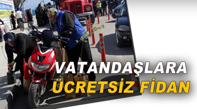  Sinop'ta vatandaşlara fidan dağıtıldı
