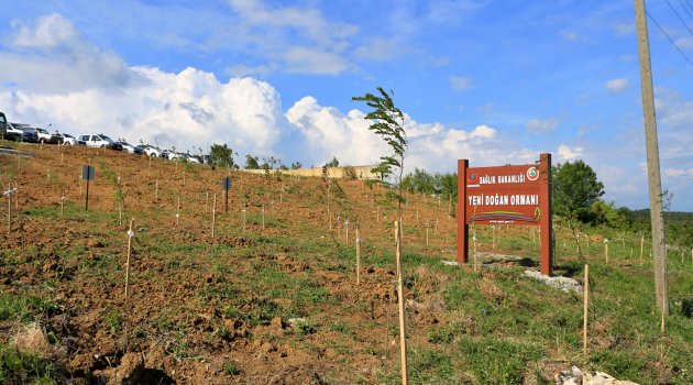 Sinop'ta "Yeni Doğan Hatıra Ormanı" oluşturuldu