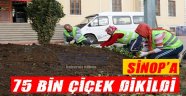 Sinop’a 75 Bin Çiçek