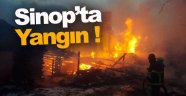 Sinop'ta Yangın