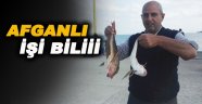 Afganlı iskelede Kırlangıç balığı tuttu