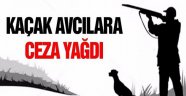 Sinop'ta kaçak avcılara 13 bin lira para cezası