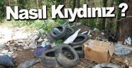 Sinop'ta Ormanı Çöplük Yaptılar !