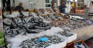 Sinop'ta tezgahlar balık çeşitleriyle doldu