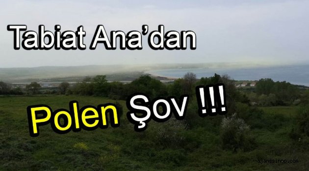 Tabiat Ana'dan Polen Şov