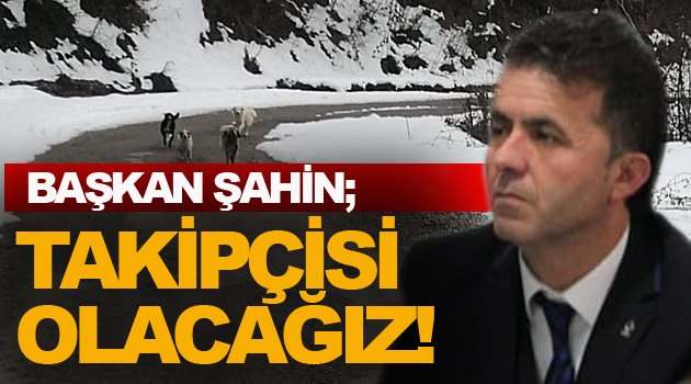 Türkeli Belediye Başkanı Veysel Şahin; "Bu konun Takipçisi Olacağız"