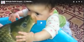 Bebeğin Balık ile aşkı