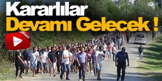 Hamsilos tabiat alanının ücretli olmasına tepki !